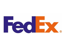 Thiet ke logo FedEx