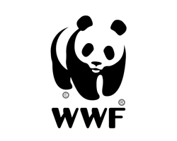 Thiet ke logo wwf